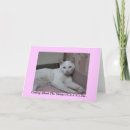 Search for strayed cards Strays