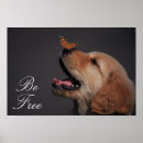 Search for pet photography posters Puppy