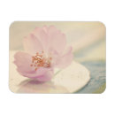 Search for blossoming magnets Floral