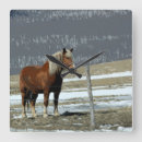 Search for barb wire art Farm