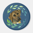 Search for rhodesian home living Rhodesian ridgeback dog