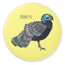 Search for peacock knobs and pulls Bird