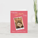 Search for cat puns cards From the cat
