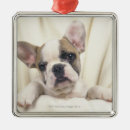 Search for english bulldog christmas tree decorations Canine