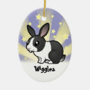 Search for dutch rabbit decor Animal