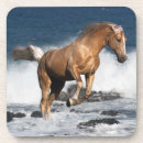Search for bob coasters Equestrian