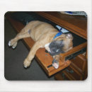 Search for sleeps mousepads Dog