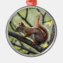 Search for red squirrel christmas tree decorations Animals