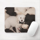 Search for dog napping electronics Sleeping