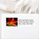 Search for orange flower return address labels Nature photography