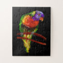 Search for parrots puzzles Parakeet