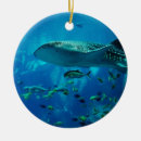 Search for shark christmas tree decorations Sea life