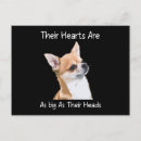 Search for chiwawa postcards Chihuahua