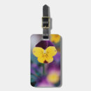 Search for fragile luggage tags Superstock
