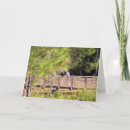 Search for male friend birthday cards Trees