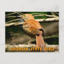 Search for georgia postcards Brown