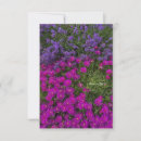 Search for ice plants Botanical