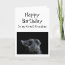 Search for great grandma birthday cards Funny
