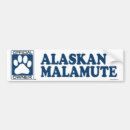 Search for malamute bumper stickers Canine