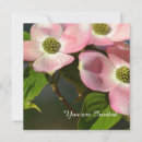 Search for dogwood invitations Pink