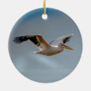 Search for flight christmas tree decorations Flying