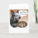 Search for australian cattle dogs cards Acd