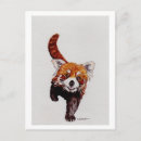 Search for panda postcards Watercolor