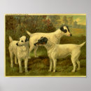 Search for fox terrier posters Vintage