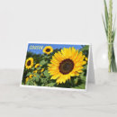 Search for male cousin birthday cards Photography