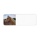 Search for palomino horse return address labels Equestrian