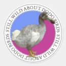Search for dodo stickers Bird