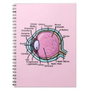 Search for ophthalmology gifts Anatomy