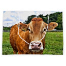 Search for cow gift bags Cattle