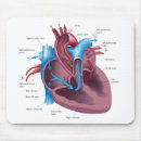 Search for cardiac electronics Cardiologist
