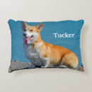 Search for pembroke welsh corgi cushions Animal