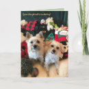 Search for coal christmas cards Funny