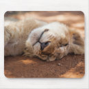 Search for lion photo mousepads Cute