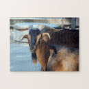 Search for goat puzzles Animal