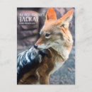 Search for backed postcards Animal
