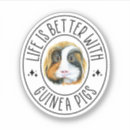 Search for hamster lovers stickers Guinea pig