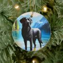 Search for swimming christmas tree decorations Cute
