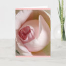 Search for rosebud cards Roses