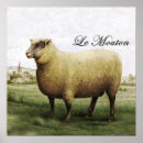 Search for vintage farm animal posters Sheep