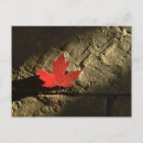 Search for maple postcards Patriotism