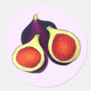 Search for fig stickers Purple