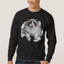 Search for ragdoll clothing Cat