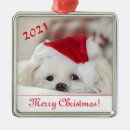 Search for canine christmas tree decorations Animal