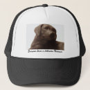 Search for labrador hats Puppy