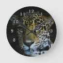 Search for jaguar clocks Wild animals