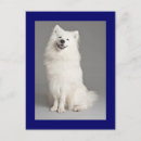 Search for eskies postcards Happy birthday